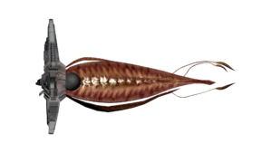 SS_SH_CNG_M3_ThirdspaceFighter_06