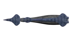 SS_SH_CNG_M4_Flauer_06