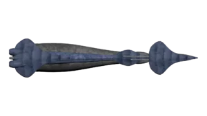 SS_SH_CNG_M4_Flauer_07