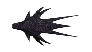 SS_SH_CNG_M4_ShadowFighter_02