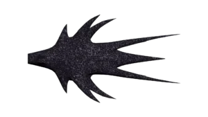 SS_SH_CNG_M4_ShadowFighter_03