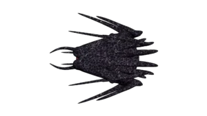 SS_SH_CNG_M5_ShadowScout_02