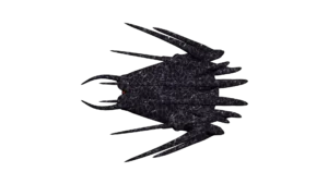 SS_SH_CNG_M5_ShadowScout_03