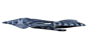 SS_SH_CNG_M6_BlueStar_06