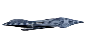 SS_SH_CNG_M6_BlueStar_07