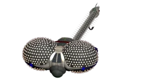 SS_SH_CNG_TM_Lexx_01