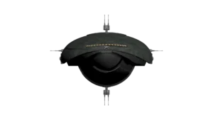 SS_SH_PR_M7_Lemur_04