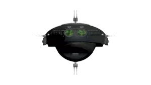 SS_SH_PR_M7_Lemur_05